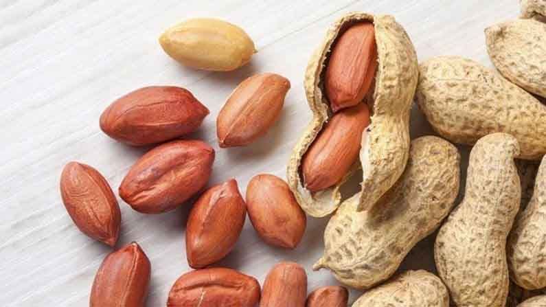 Peanuts Benefits | दूध, बदाम आणि तुपाची कमतरता पूर्ण करतील शेंगदाणे, ‘या’ पद्धतीने करा सेवन!