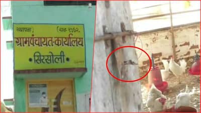 बर्ड फ्लूच्या सावटातही पोल्ट्री फार्ममधून 400 कोंबड्यांची चोरी