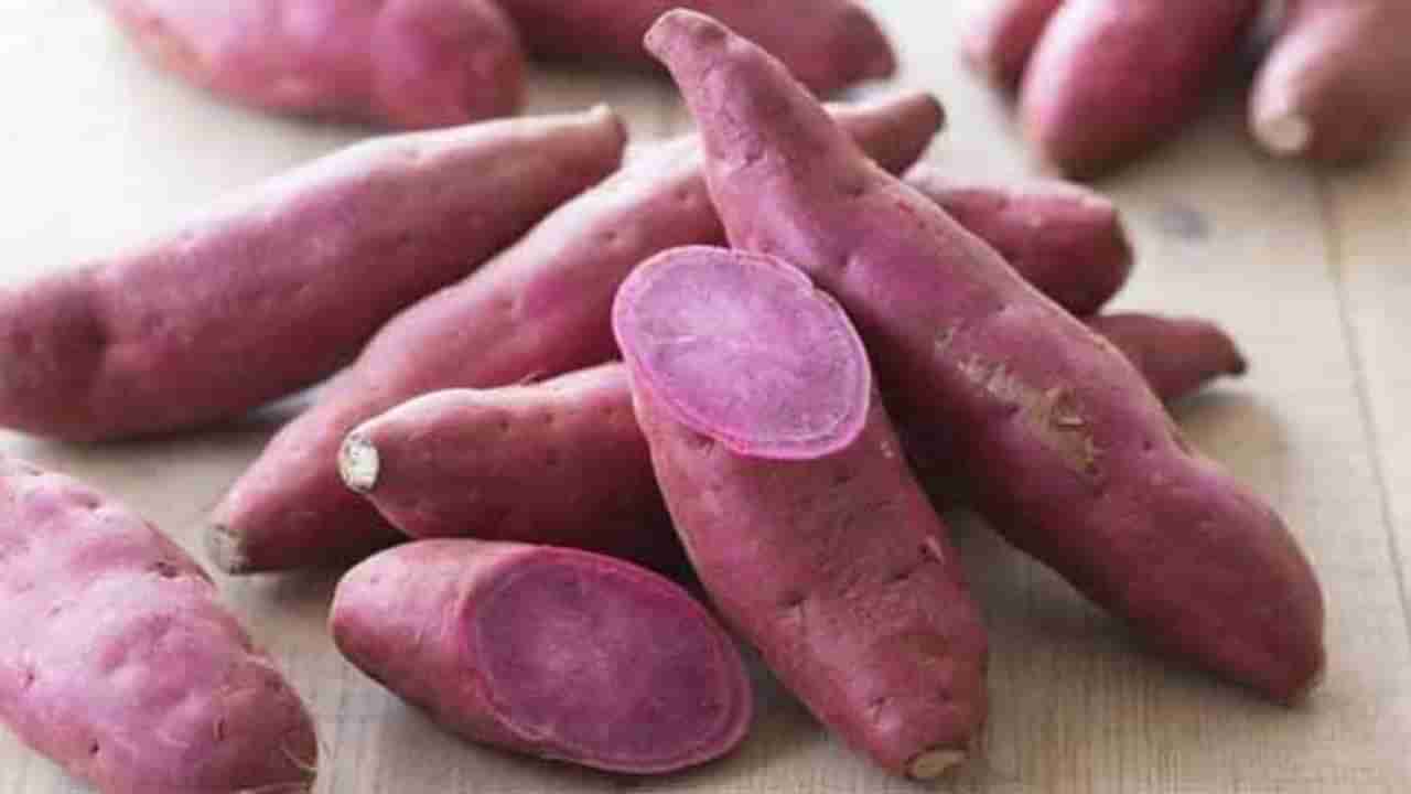 Winter Fruit | थंडीच्या दिवसांत 'रताळे' खाणे अतिशय गुणकारी, शरीराला होतील  अनेक फायदे! - Marathi News | Health benefits of sweet potato | TV9 Marathi