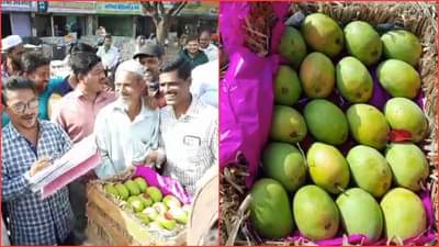 सांगलीत मुहूर्ताच्या आंब्याचे आतषबाजीने स्वागत, रत्नागिरीच्या हापूस पेटीला मिळाले....