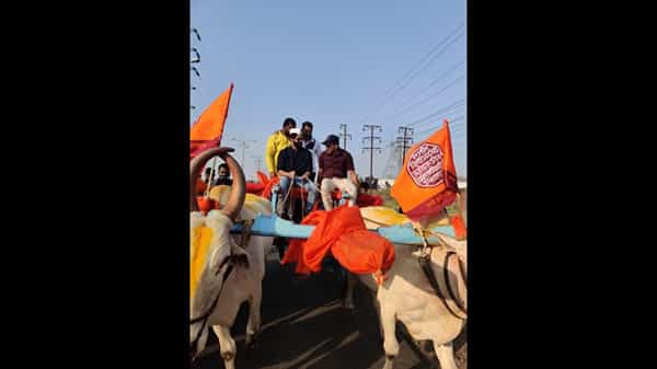 मनसे अध्यक्ष राज ठाकरे यांचे सुपूत्र मनसे नेते अमित ठाकरे आज चक्क बैलगाडीवर बसलेले पाहायला मिळाले.