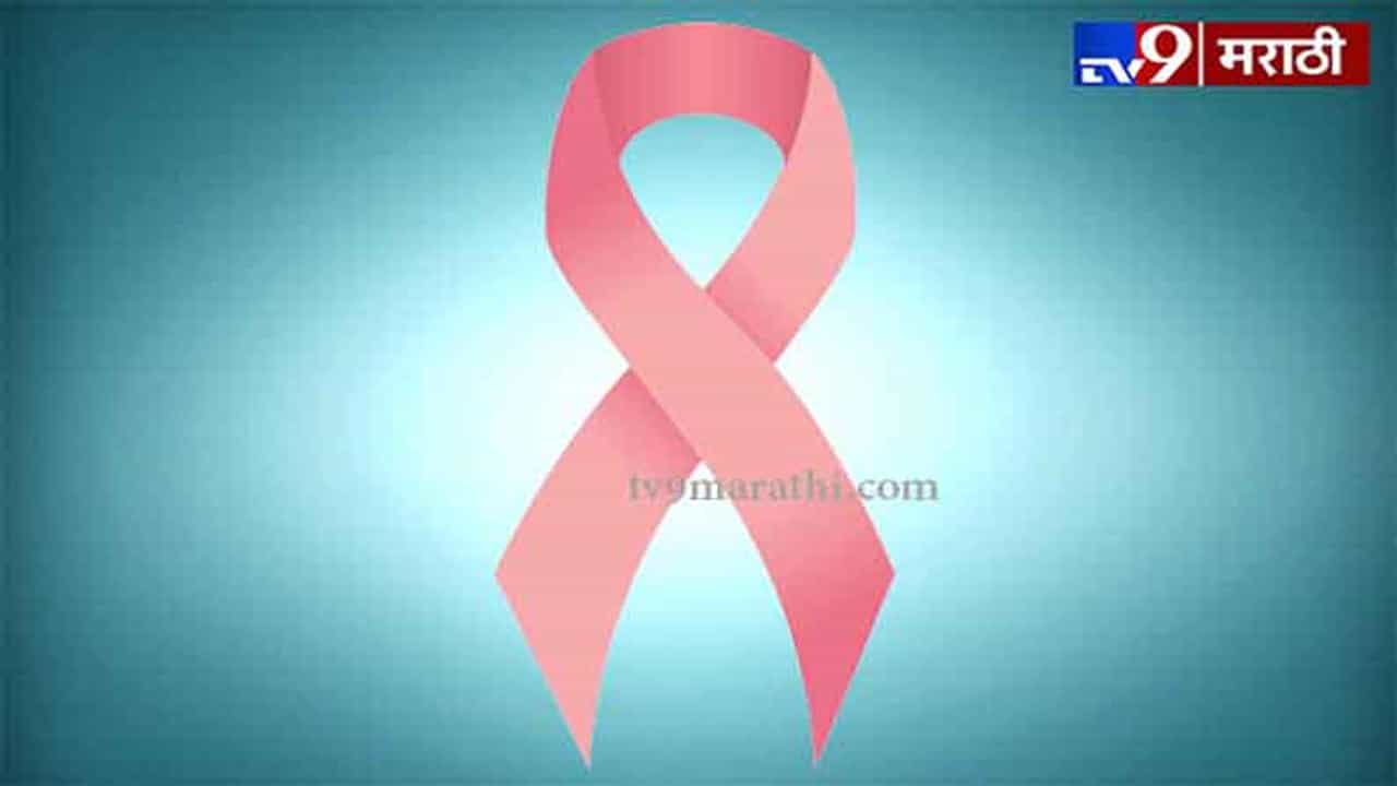 Cancer | कर्करोगाच्या आजारापासून दूर ठेवतील ‘हे’ घटक, आहारातही करा समावेश...