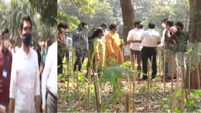 मुंबईत ज्या मियावाकी झाडांची जोरदार चर्चा आहे ती लावायची कशी, जोपासायची कशी? आदित्य ठाकरेंकडून पहाणी