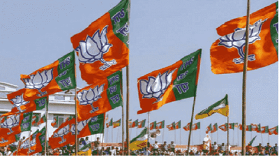 भाजपने मराठी आंदोलनाचं केवळ राजकारण केलं, संभाजी ब्रिगेडचा आरोप