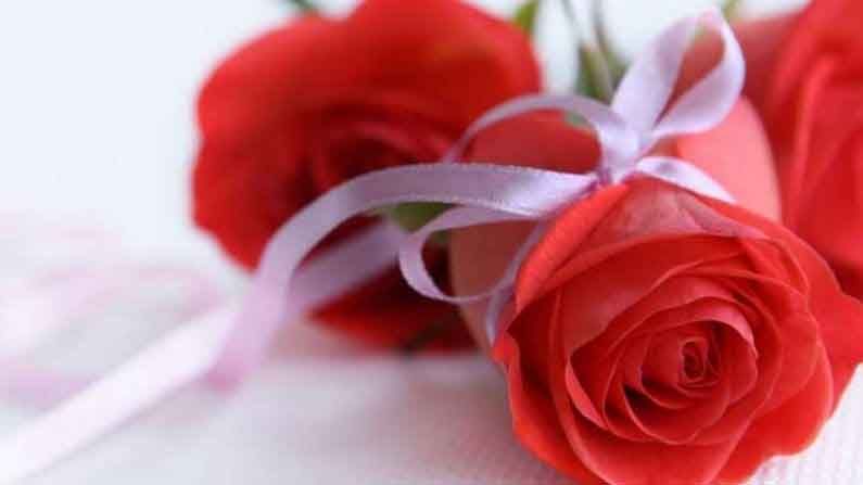 लाल गुलाब : लाल रंगला ‘प्रेमाचा रंग’ म्हणतात. जर आपळे एखाद्या व्यक्तीवर खूप प्रेम आहे आणि आपल्या त्या भावना व्यक्त करायच्या असतील, तर त्याला या खास दिवशी लाल गुलाब द्यावा. लाल गुलाब आपल्या प्रेमाची उत्कटता दर्शवतो.
