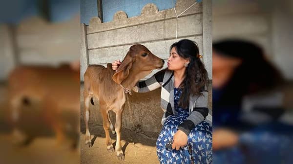 मराठीतली सुंदर अभिनेत्री म्हणून प्रार्थना बेहरेचं नाव आघाडीवर आहे. प्रार्थना सोशल मीडियावर नेहमीच सक्रीय असते.