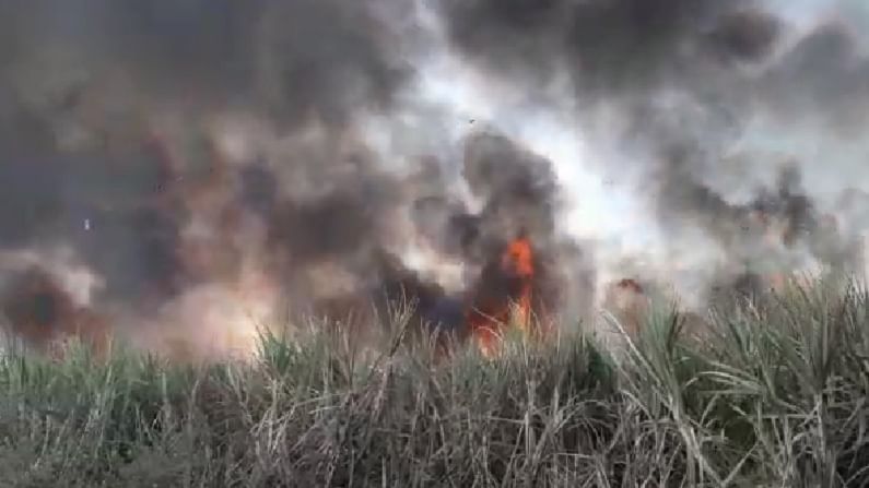 video | शेतात शॉर्टसर्किट, काही क्षणांत तब्बल 8 एकरातील ऊस जळून खाक, पाहा व्हिडीओ video | शेतात शॉर्टसर्किट, काही क्षणांत तब्बल 8 एकरातील ऊस जळून खाक, पाहा व्हिडीओ