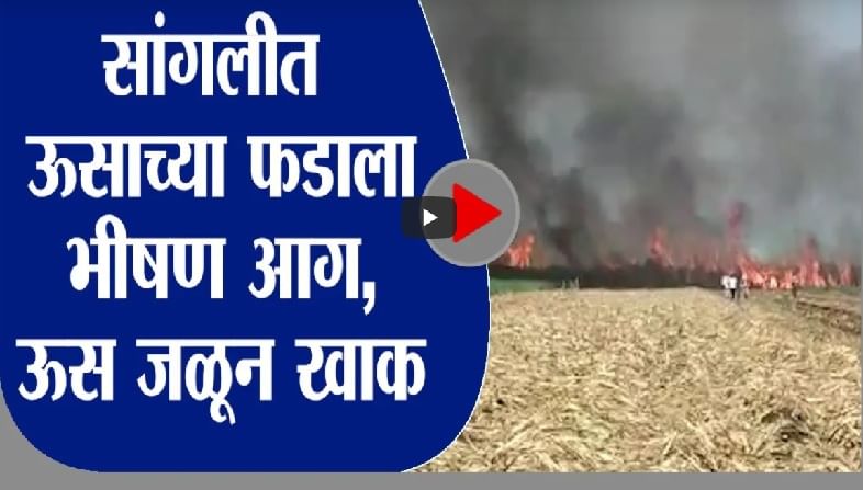 VIDEO | शॉर्टसर्किटचं निमित्त, तब्बल 40 एकरातील ऊस आगीच्या कचाट्यात, शेतकऱ्यांचे मोठे नुकसान