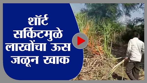 Video | तीन एकरांतील ऊसाला आग,सोपान पाटलांचं तब्बल सहा लाखांचं नुकसान, पाहा व्हिडीओ