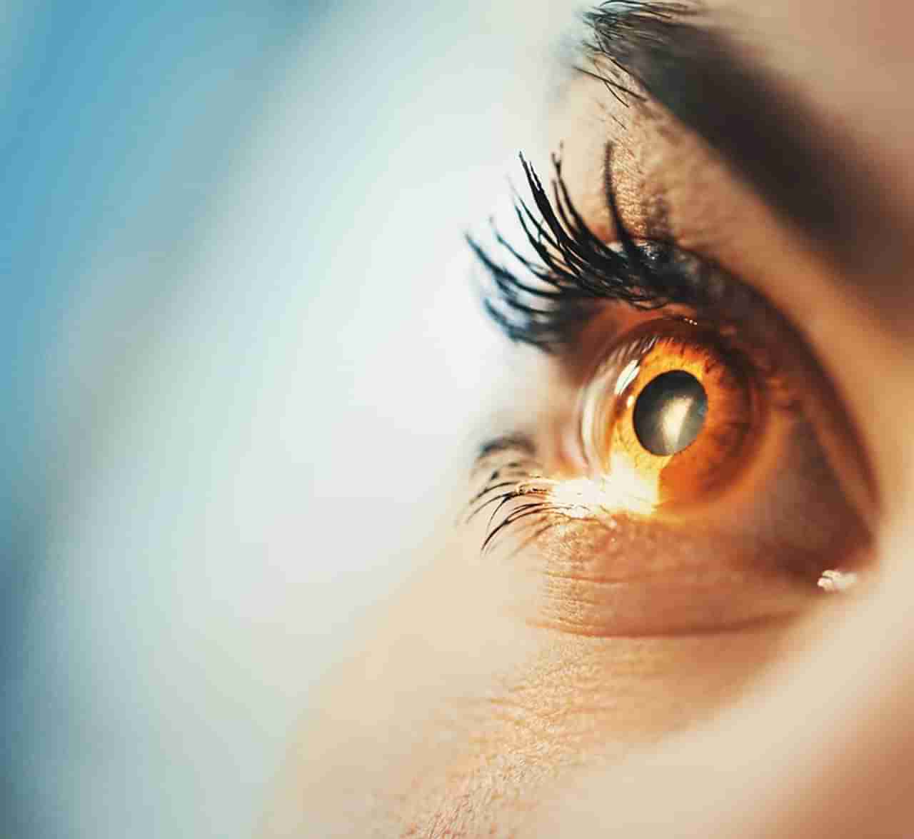 Astrology | डोळ्यांचा रंग सांगतो व्यक्तीचा स्वभाव, अशा लोकांपासून रहा दूर