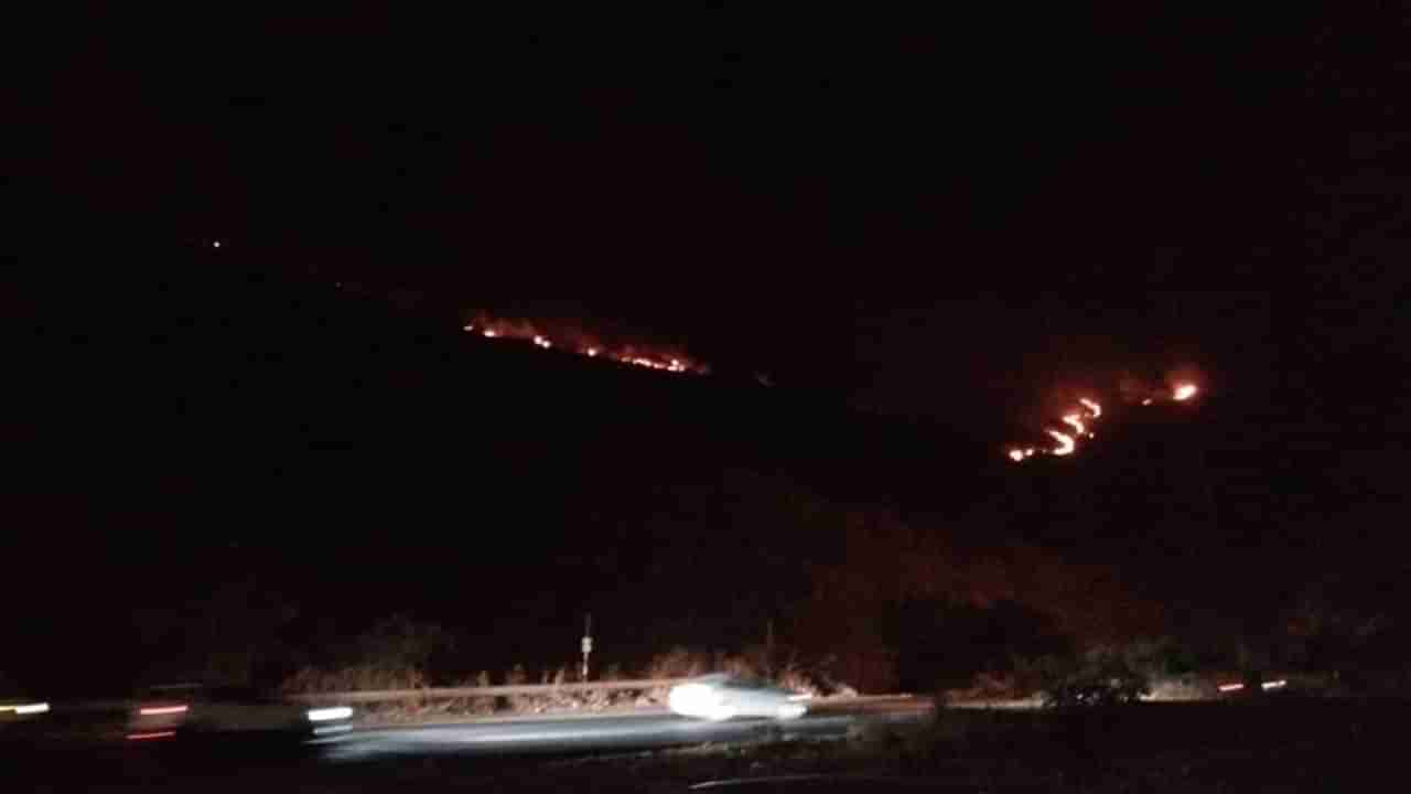 VIDEO : कात्रज बोगद्याजवळ डोंगरावर वणवा, आग आणखी पसरण्याची शक्यता