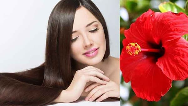 Hair Care | केस गळती, कोंड्यासह केसांच्या अनेक समस्यांना दूर ठेवेल ‘जास्वंदाचे फूल’, वाचा याचे फायदे...