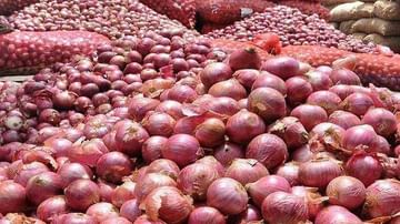 Onion Price: कांद्याचे भाव वाढण्याचं कारण काय? महाराष्ट्रातील कांदा बाजारपेठांची स्थिती काय?
