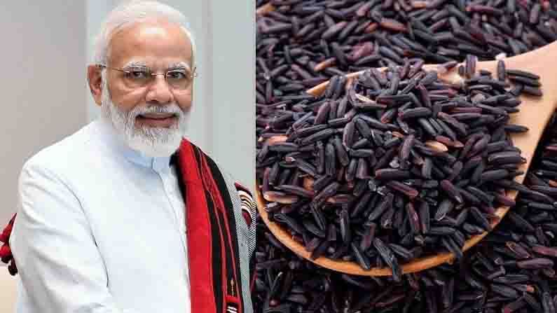 Black Rice | पंतप्रधान मोदींनीही केली वाहवा, तुम्हाला माहित आहे का काळ्या तांदळाच्या फायद्यांबद्दल?