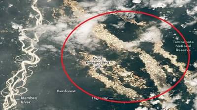 FACT CHECK | अ‌ॅमेझॉन नदीला सोनेरी रंग, खरंच नदीमध्ये सोन दडलंय?, जाणून घ्या फोटोमागचं सत्य