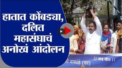 VIDEO | दलित महासंघाचा कोंबडा मोर्चा, पशुपालनासाठी अनुदान वाढवून देण्याची मागणी