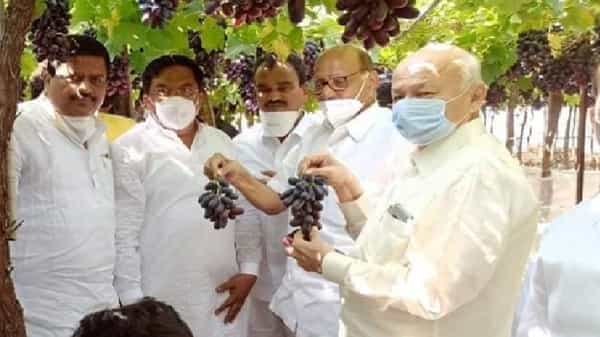 शरद पवारांनी मला शेतीचं वेड लावलं. मला शेती घ्यायला लावली. शेतीवर प्रेम करायला शिकवलं. आधी माझ्याकडे 12 एकर शेती होती. परंतु नंतर शेतीचं वेडं लागल्यावर शेती वाढवली. आता माझ्याकडे 34 एकर शेती आहे, असं त्यांनी सांगितलं.