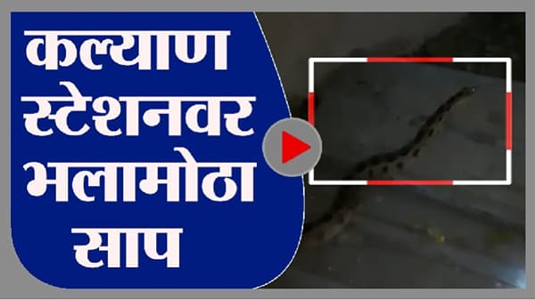 Video : कल्याण रेल्वे स्टेशनवर भला मोठा साप, प्रवाशांची धावाधाव, पुढे काय झालं तुम्हीच पाहा...
