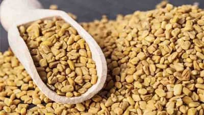 Methi for diabetes | मधुमेहावर नियंत्रण मिळवण्यासाठी गुणकारी ‘मेथीचे दाणे’, असे करा सेवन...