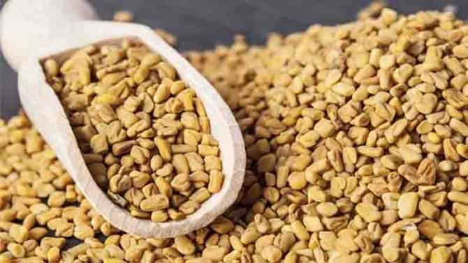 Methi for diabetes | मधुमेहावर नियंत्रण मिळवण्यासाठी गुणकारी ‘मेथीचे दाणे’, असे करा सेवन...