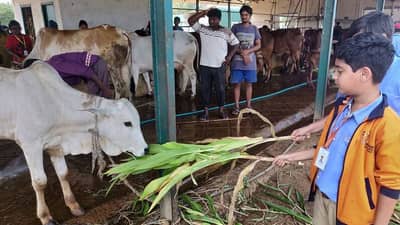 बसल्या बसल्या डोकं लावलं, कम्युनिटी लिविंगचा बिझनेस उभारला, तीन मित्रांचा 40 कोटीचा डोलारा!