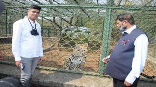 कोरोना संसर्ग वाढला, पुण्यात खासगी रुग्णालयात 50 टक्के बेड्स आरक्षित, अकोला जिल्ह्यात संचारबंदी