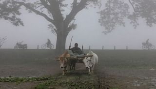 शेतकऱ्याचं अनोखं दातृत्व, मुक्या जनावरांसाठी मोफत चाराछत्र सुरु