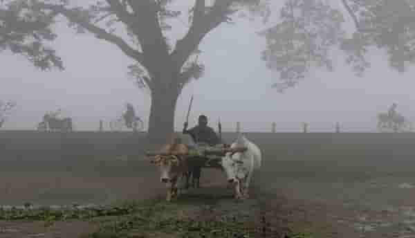 Weather Alert: सोलापूरच्या बार्शीत पावसाची हजेरी, सातारा जिल्ह्याला इशारा, राज्यासाठी दोन दिवस महत्वाचे