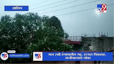 Washim Rain | वाशिम जिल्ह्यात सकाळपासून अवकाळी पाऊस सुरु