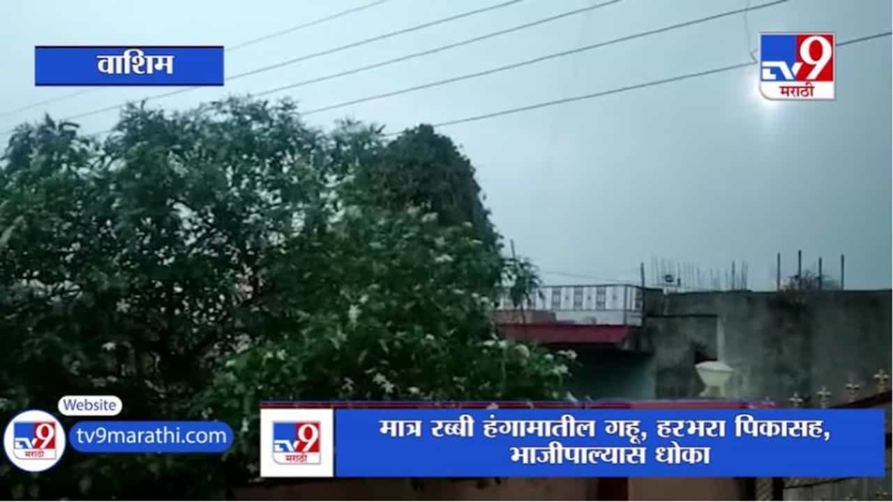 Washim Rain | वाशिम जिल्ह्यात सकाळपासून अवकाळी पाऊस सुरु