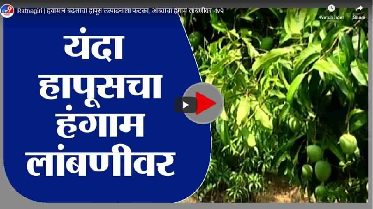 Ratnagiri | हवामान बदलाचा हापूस उत्पादनाला फटका, आंब्याचा हंगाम लांबणीवर