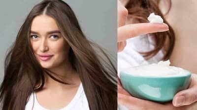 Hair Care | बाजारातल्या महागड्या कंडिशनर्सना म्हणा ‘बाय-बाय’, वापरा घरगुती हेअर कंडिशनर!