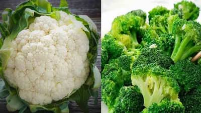 Food | फ्लॉवर की ब्रोकोली? जाणून घ्या कोणती भाजी आरोग्यासाठी सर्वात फायदेशीर...