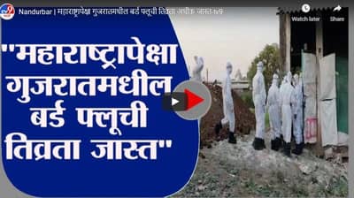 Nandurbar | महाराष्ट्रापेक्षा गुजरातमधील बर्ड फ्लूची तिव्रता अधीक जास्त
