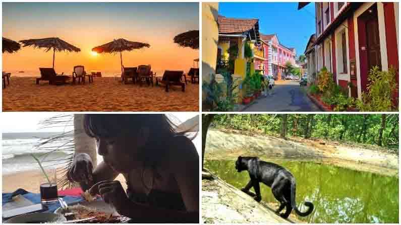 Travel | IRCTC घडवणार ‘Exotic Goa’ सफर, समुद्र किनाऱ्यावर सनबाथ घेण्यासाठी मोजावे लागतील ‘इतके’ रुपये!
