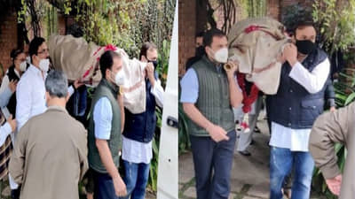 राजीव गांधींच्या मित्राचं निधन, पार्थिवाला खांदा देण्यासाठी राहुल गांधी धावले!