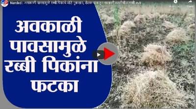 Nanded | अवकाळी पावसामुळे रब्बी पिकांचे मोठे नुकसान, शेतकऱ्यांकडून सरकारी मदतीची मागणी