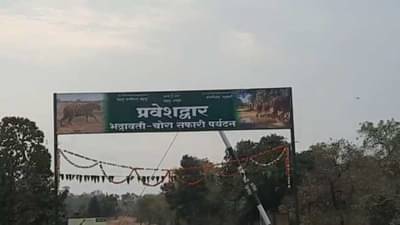 स्वत:च्या वाहनातून जंगल सफरीचा आनंद घ्यायचाय, चला चंद्रपूरला, वनविभागाकडून कमी खर्चात पर्यटनाची संधी