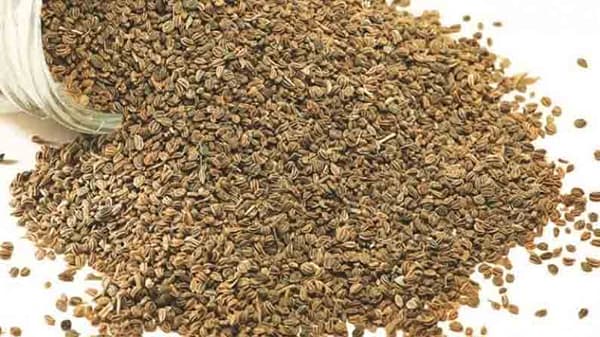 Carom Seeds | ओव्याच्या लहान-लहान दाण्यांमध्ये मोठे औषधी गुणधर्म, जाणून घ्या याचे फायदे!
