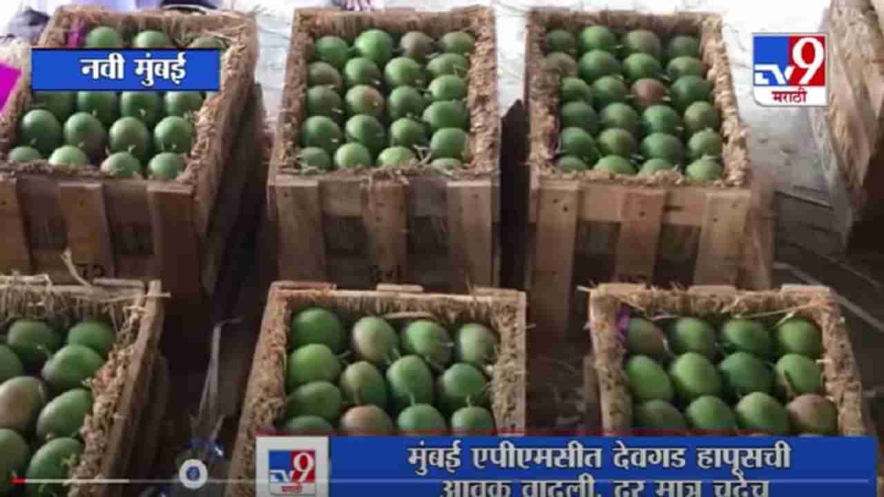 Alphonso in Mumbai Market | मुंबई एपीएमसी फळ बाजारात देवगड हापूसची आवक वाढली