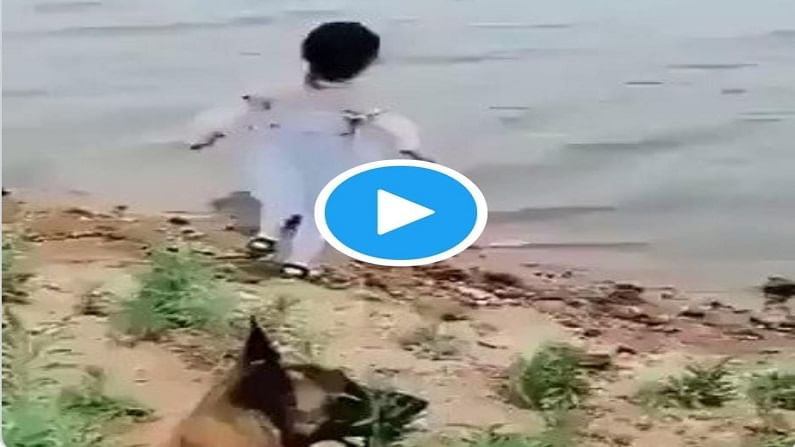 VIDEO : कुत्र्याची अनोखी शक्कल ! चिमुकलीला नदीत बुडण्यापासून वाचवलं, उगाच इमानदार नाही म्हणत