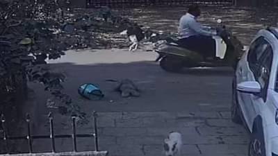 डोंबिवलीच्या हिंमतवाल्या आजी, 80 वर्षांच्या वृद्धेचा हिसका, मंगळसूत्रचोराची धूम