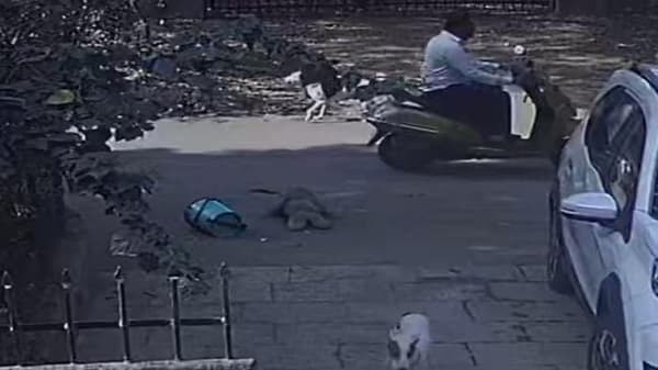 डोंबिवलीच्या हिंमतवाल्या आजी, 80 वर्षांच्या वृद्धेचा हिसका, मंगळसूत्रचोराची धूम