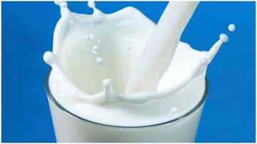 Milk | गाय की म्हैस, आपल्या आरोग्यासाठी कोणते दूध अधिक फायदेशीर? जाणून घ्या..