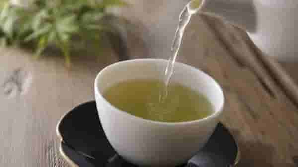 Weight Loss Drinks | स्लिम-ट्रिम दिसण्याची इच्छाय? मग, झोपण्यापूर्वी प्या ‘हे’ हेल्दी ड्रिंक्स!