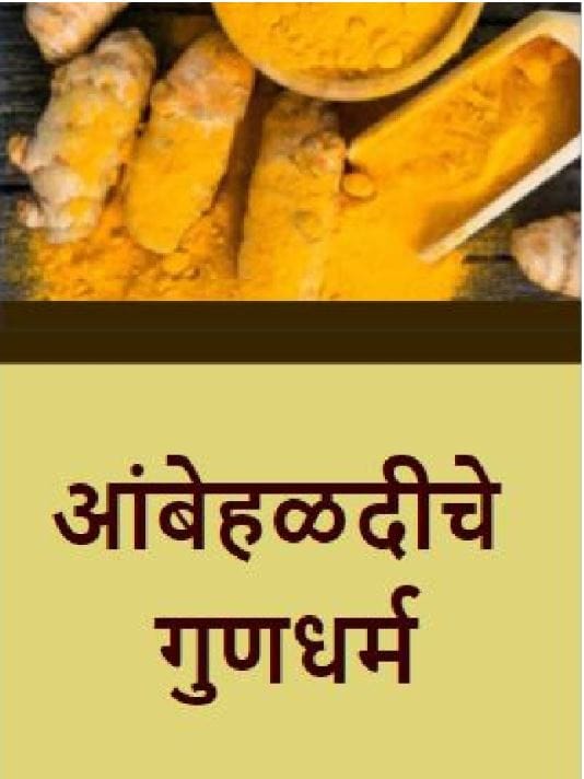 आंबेहळदीचे औषधी गुणधर्म – TV9 Marathi