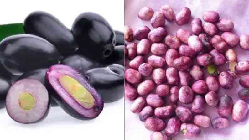 Jamun Seeds | मधुमेहाच्या रुग्णांसाठी संजीवनी ठरतील जांभळाच्या बिया, ‘या’ समस्यांवरही उपयोगी! Jamun Seeds | मधुमेहाच्या रुग्णांसाठी संजीवनी ठरतील जांभळाच्या बिया, ‘या’ समस्यांवरही उपयोगी!