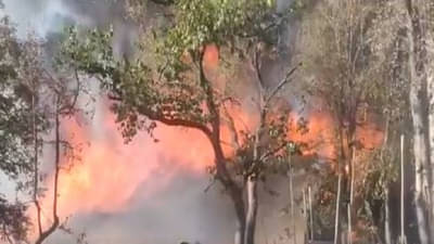 100 कोटींच्या बांबू प्रशिक्षण केंद्राला लागलेल्या आगीची CID चौकशी करा- मुनगंटीवार