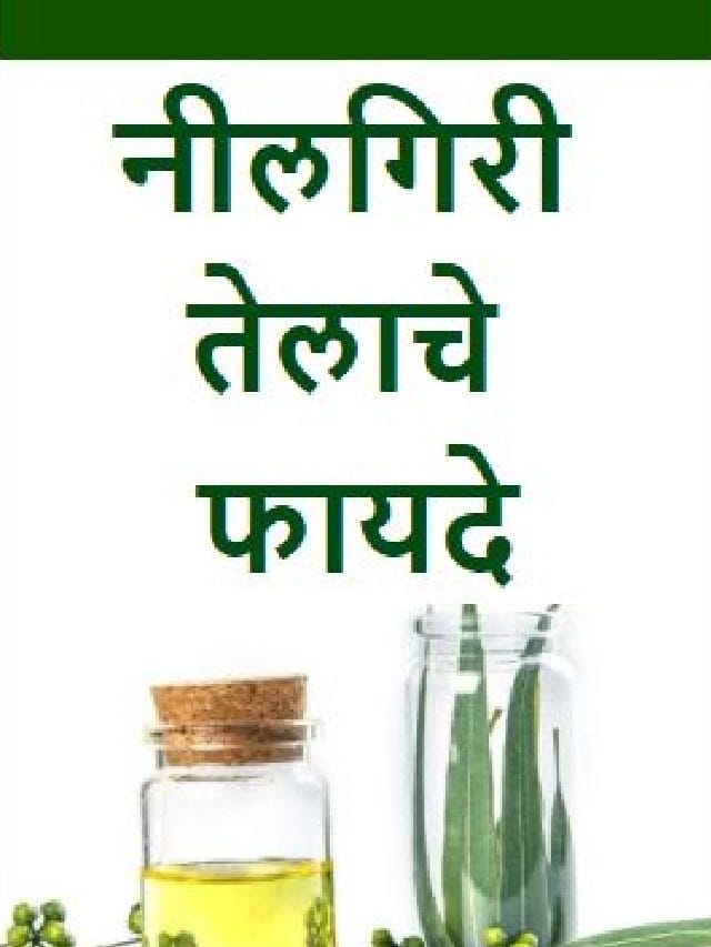 नीलगिरीच्या तेलाचे जबरदस्त फायदे TV9 Marathi Eucalyptus Aka Nilgiri