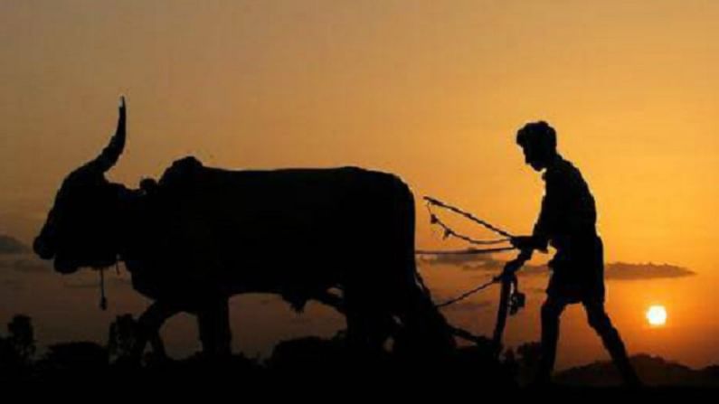 सोलापूरमध्ये दोन वर्षात 53 शेतकऱ्यांच्या आत्महत्या, केवळ 16 कुंटुबांना सरकारी मदत